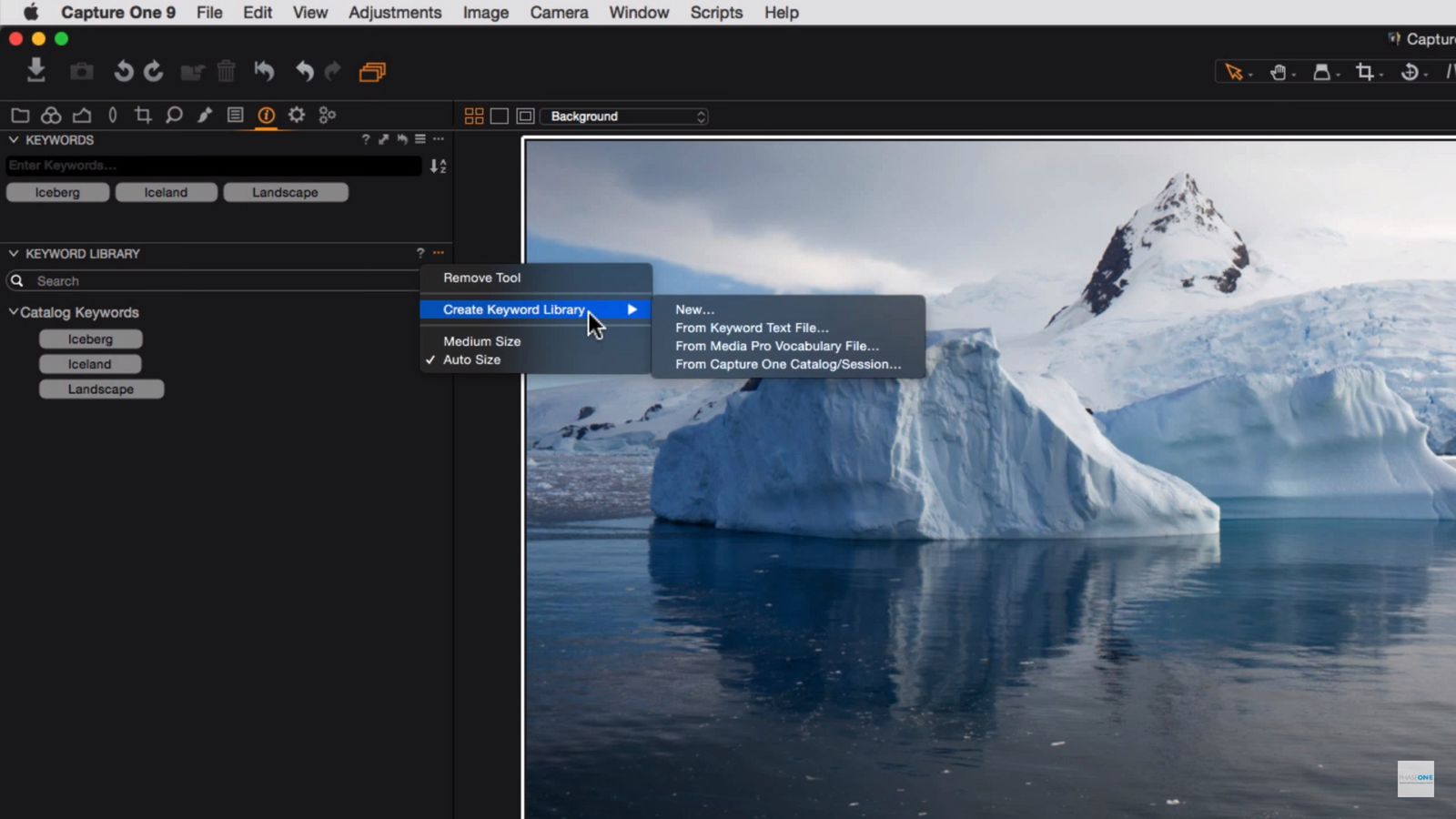 Capture One 9 - co zmieniło się w najnowszej wersja konkurenta Adobe? 2