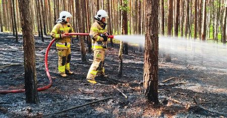 Prognoza na 3 maja i weekend. Słoneczna pogoda i brak opadów powodują wzrost zagrożenia pożarowego