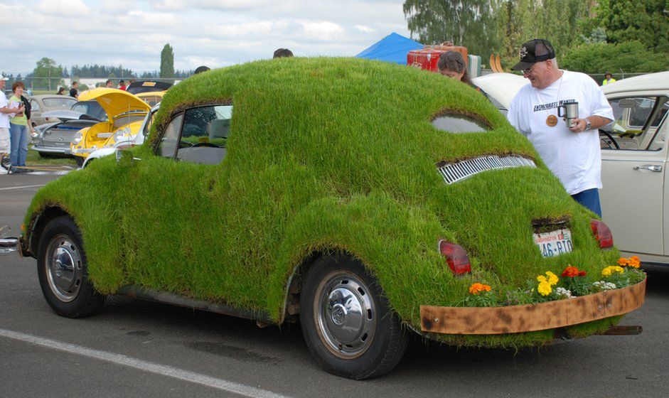 Volkswaen Beetle Grass (fot. imageshack.us)