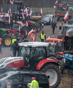 Polacy wskazali winnych protestu rolników. Nowy sondaż