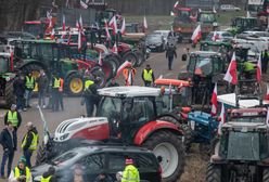 Polacy wskazali winnych protestu rolników. Nowy sondaż