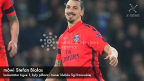 Zlatan zawieszony za "g... kraj" na cztery mecze. "Bardziej niż piłkarz ucierpią na tym kibice"