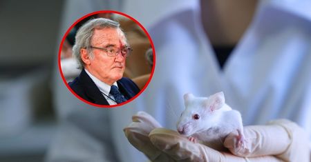 Sukces hiszpańskich badaczy. Wyleczyli myszy z raka trzustki