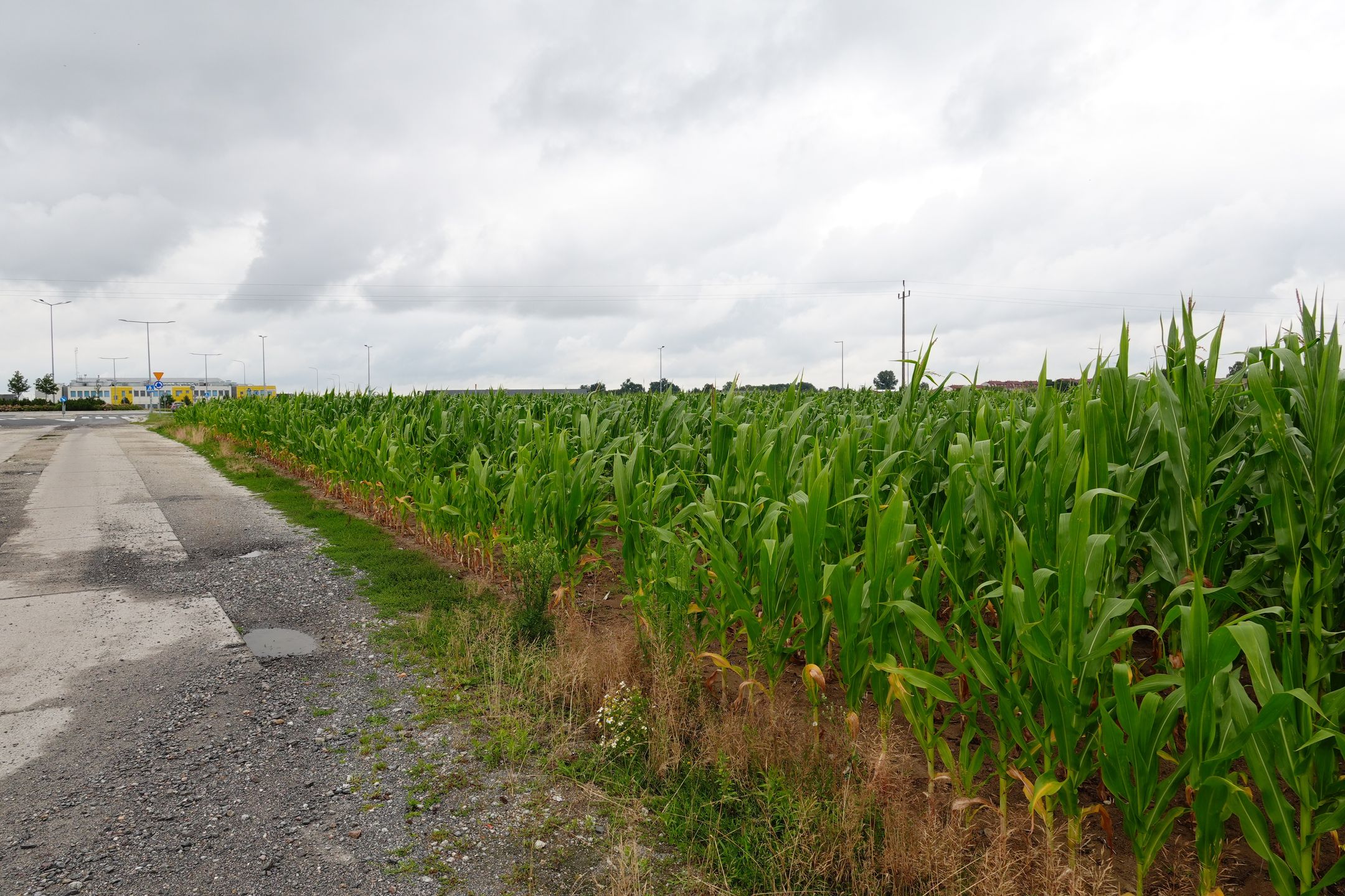 Sony RX10 V - test