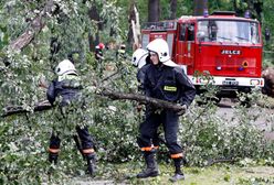 Nadchodzą wichury. Ostrzeżenie IMGW na północy Polski