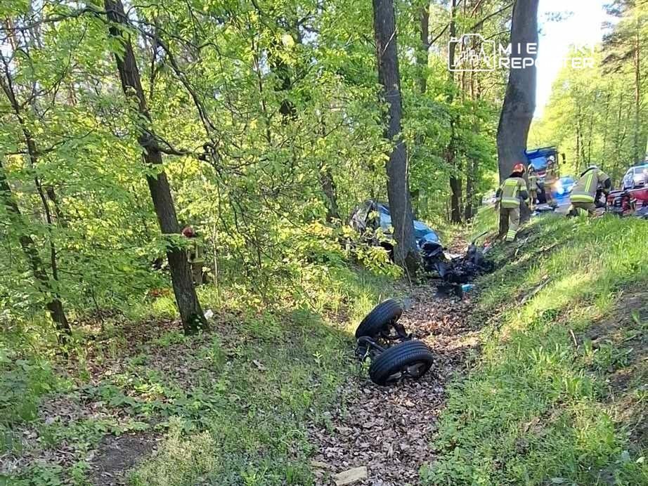 fot. Czytelnik Miejskiego Reportera