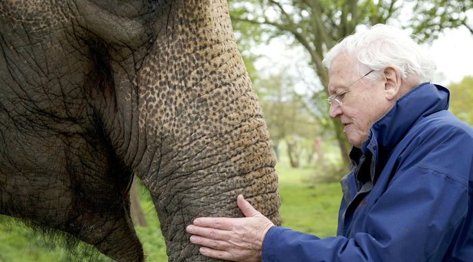David Attenborough i cuda natury