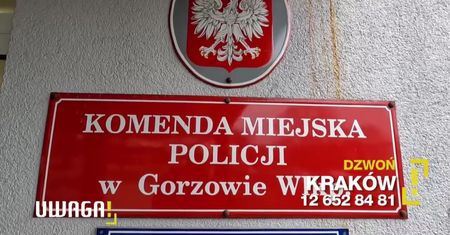 Plaga kradzieży katalizatorów. „Jest prosty sposób, żeby to ukrócić”