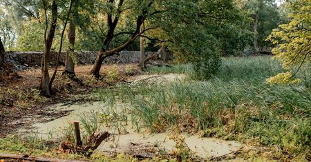 Goślice zmienią się nie do poznania. Ogrody terapeutyczne, nowe nasadzenia i szkoła