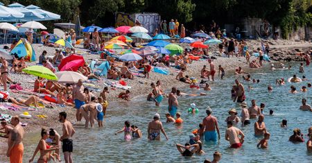 Niebezpieczne meduzy straszą turystów w Chorwacji. "Wszyscy boją się kąpać"