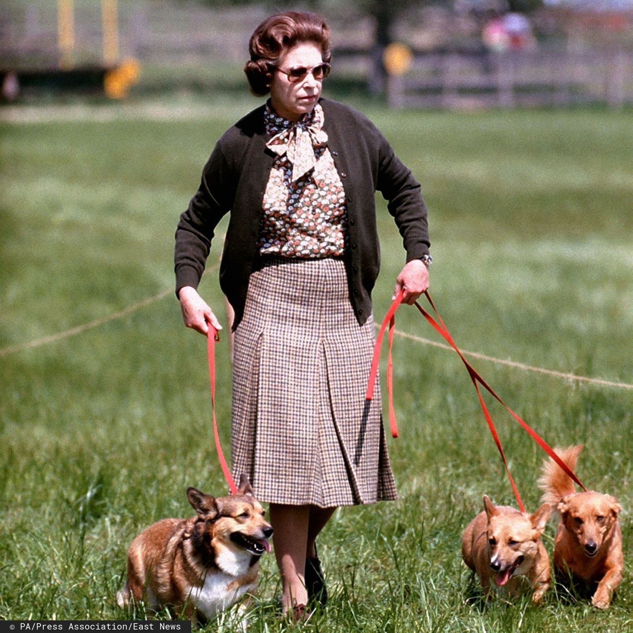 Królowa ELżbieta II i jej ukochane psy w 1980 r. (East News)
PA