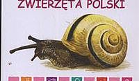 Zwierzęta polski