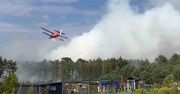 Płonie las w Zielonej Górze. Strażacy walczą z żywiołem