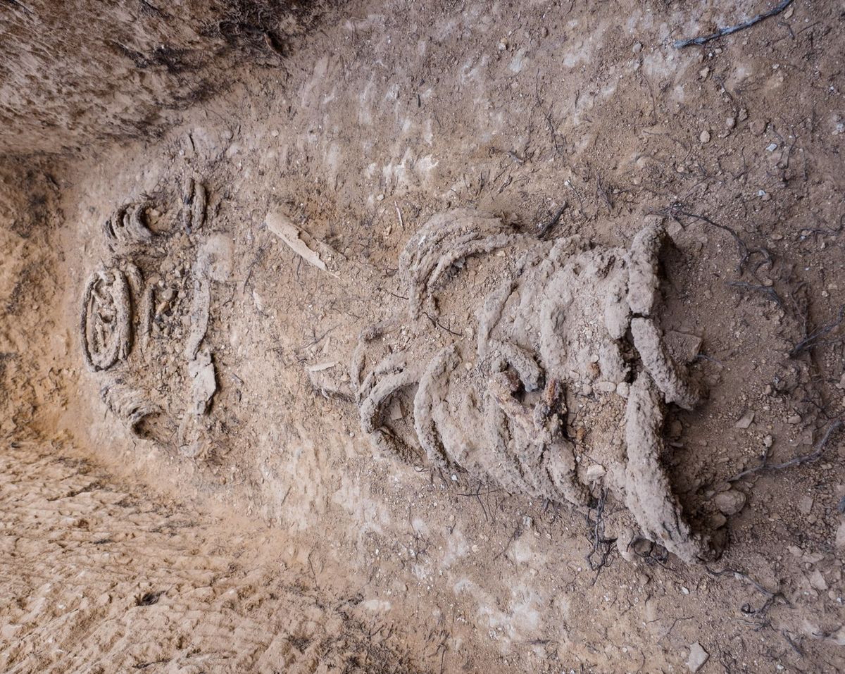 W Izraelu znaleziono szczątki mnicha 