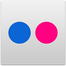 Flickr icon