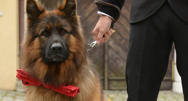 „Komisarz Alex 17” od 5 marca w TVP1