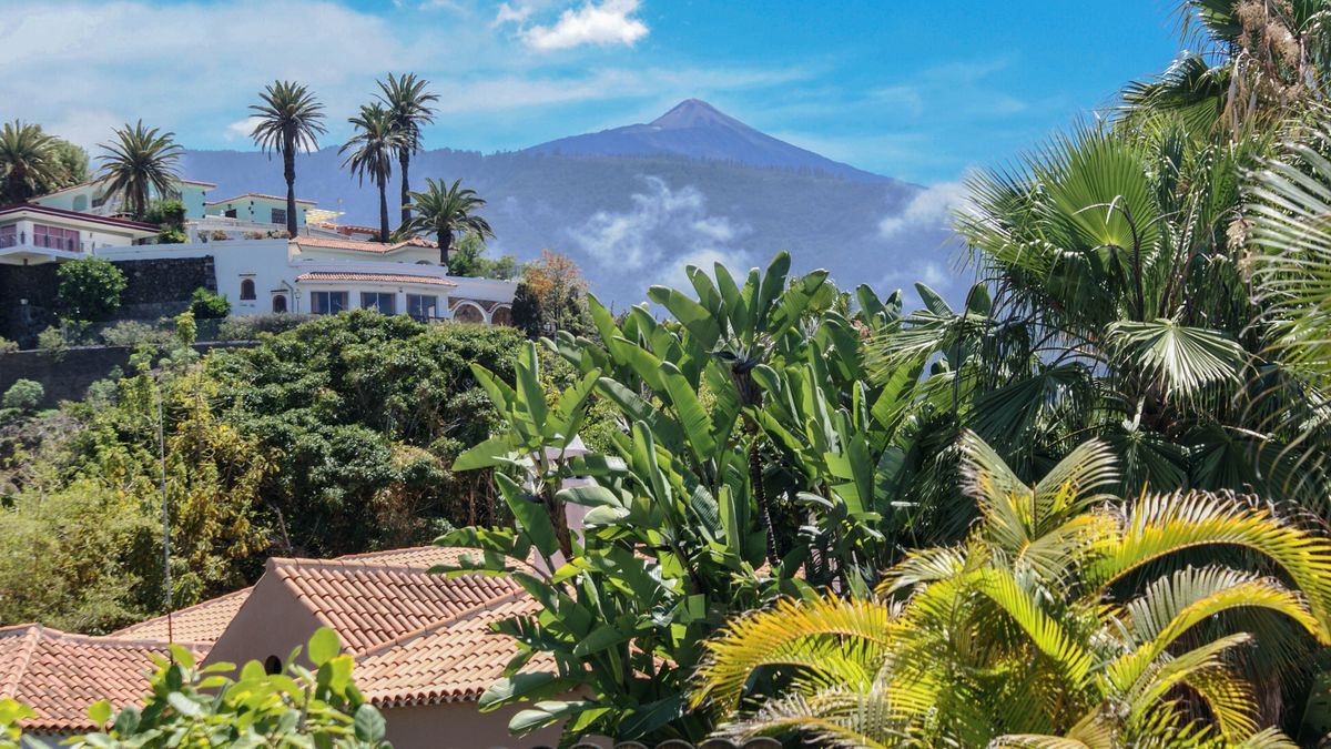 Na turystycznej wyspie przygotowywana jest wielka akcja 