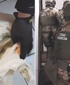 Odkrycie w paczkach z Kolumbii. Banany były tylko przykrywką