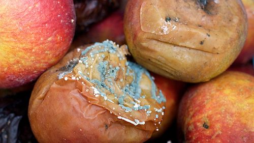 Apple kłamie i sądzi że jesteś idiotą 1