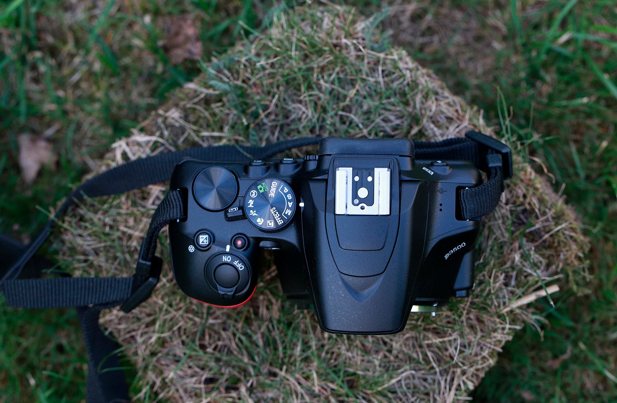 Nikon D3500 pomoże ci uchwycić najważniejsze momenty w życiu [test] 4