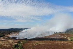 Groźny pożar w okolicach Londynu. Kłęby dymu nad miastem i lotniskiem Heathrow