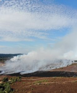 Groźny pożar w okolicach Londynu. Kłęby dymu nad miastem i lotniskiem Heathrow