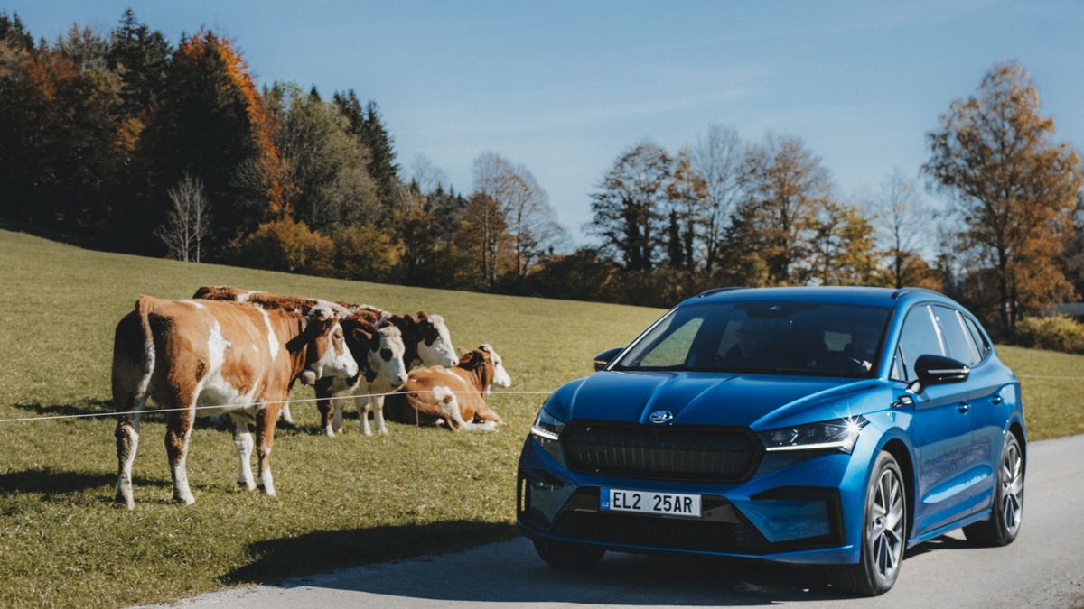 Skoda Enyaq iV Style 80