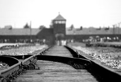 Niemcy. Szczątki ofiar Auschwitz na terenie uczelni?