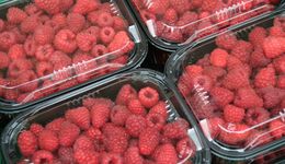 Unia Europejska zakazuje plastikowych opakowań na owoce i warzywa od 2026 roku