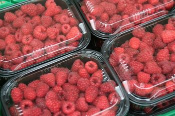 Unia Europejska zakazuje plastikowych opakowań na owoce i warzywa od 2026 roku