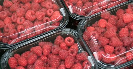 Unia Europejska zakazuje plastikowych opakowań na owoce i warzywa od 2026 roku