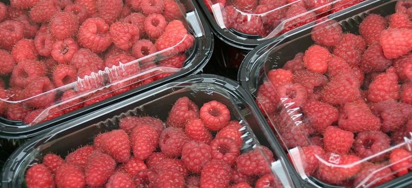 Unia Europejska zakazuje plastikowych opakowań na owoce i warzywa od 2026 roku