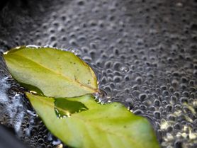 Wystarczą trzy składniki. Szybko pozbędziesz się męczącego kaszlu