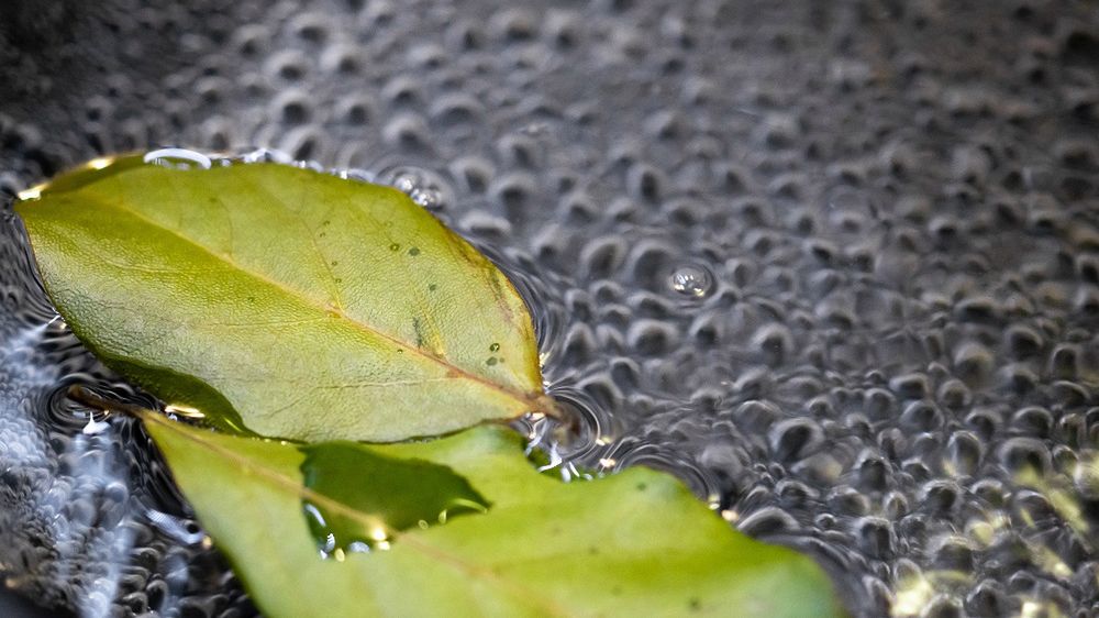 Jak przygotować miksturę na kaszel?