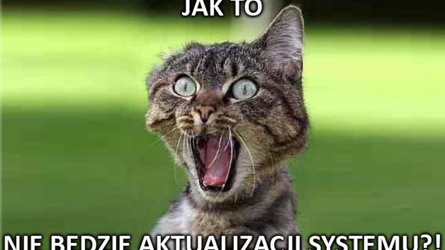 10 GIF-ów pokazujących codzienność czytelnika Komórkomanii [cz. 2] 1