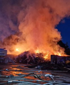 Pożar składowiska pod Otwockiem. Apel o zamykanie okien w domach