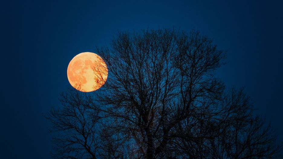 Szykuje się wyjątkowa noc (zdjęcie ilustracyjne)