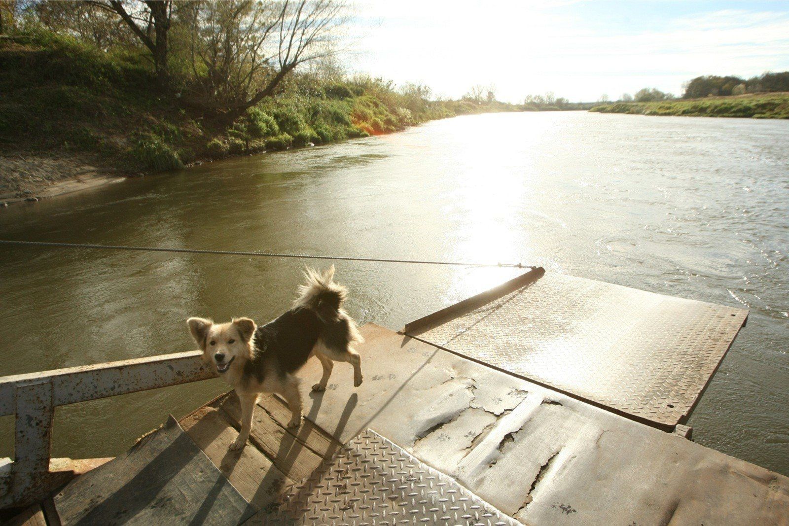 Miejsce 14 - Brzeg Dolny (gmina miejsko-wiejska)