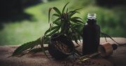 Jak wykorzystać naturalne oleje w pielęgnacji włosów?