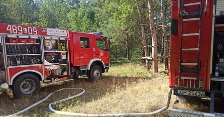Pożar lasu w Emilcinie – strażacy walczą z żywiołem. Trwa dogaszanie ognia