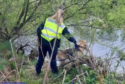 Poszukiwania Kacpra. Detektyw Rutkowski ma przerażającą teorię