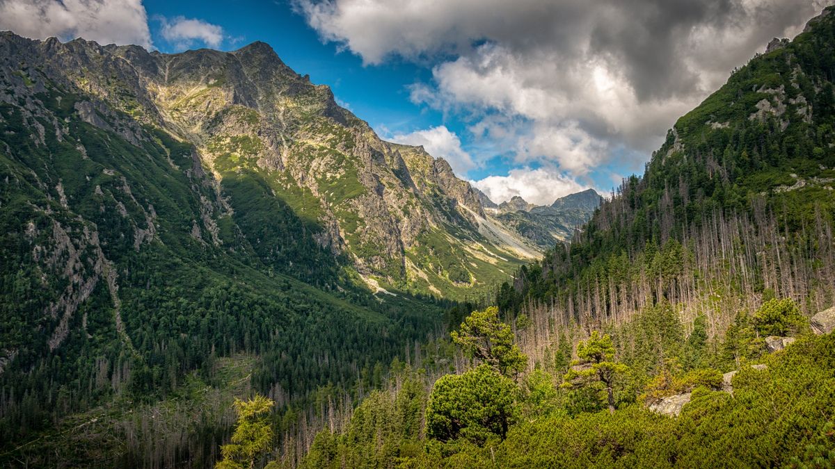 Tatry Wysokie - zdj. ilustracyjne 