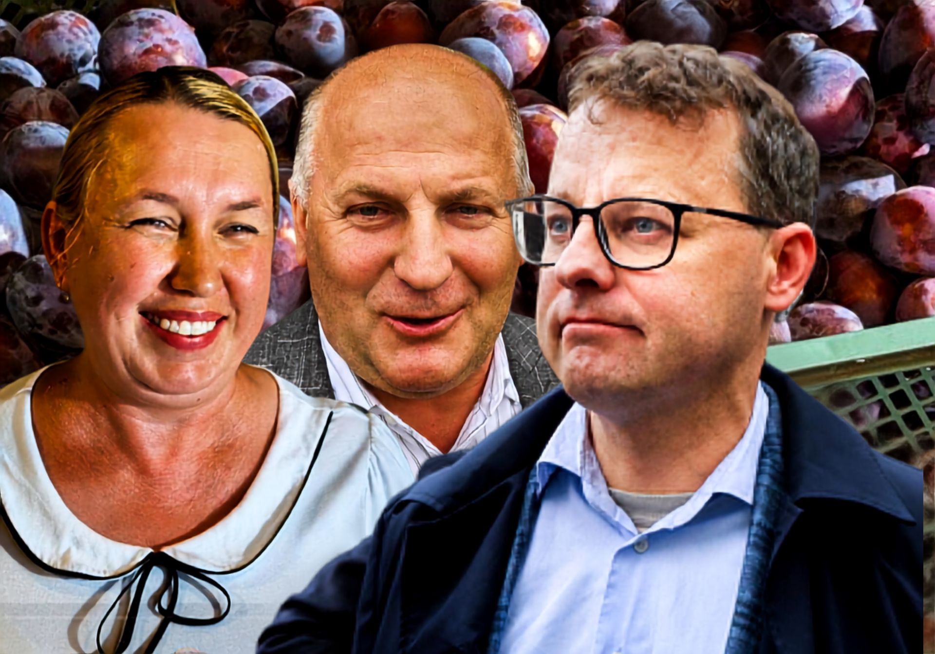 Romanowski rozdaje śliwki za 25 tys. zł miesięcznie – kto płaci za jego akcje społeczne?