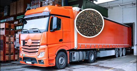 Zatrzymali transport z Serbii. Oto co miało trafić do Polski