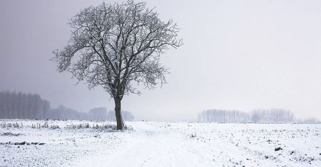 Ciało mężczyzny w polu. Zmarł z wychłodzenia