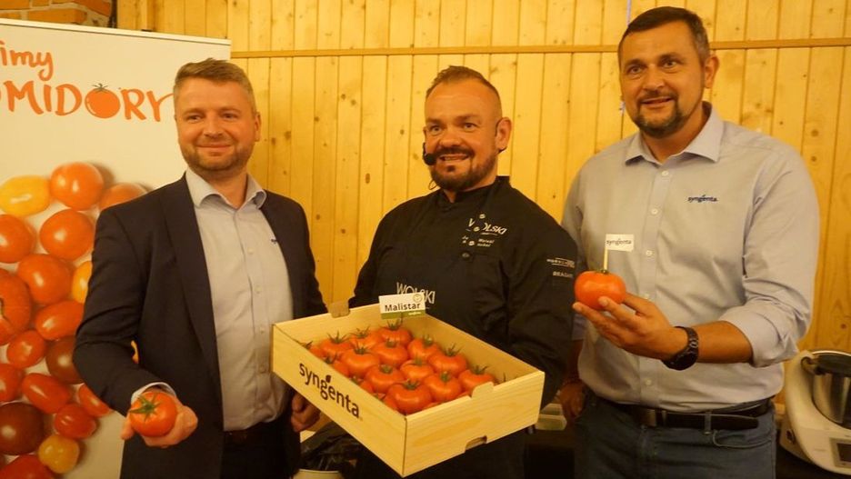 Malinowy smak sukcesu czyli pomidory malinowe Syngenta