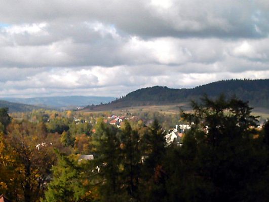 Obraz