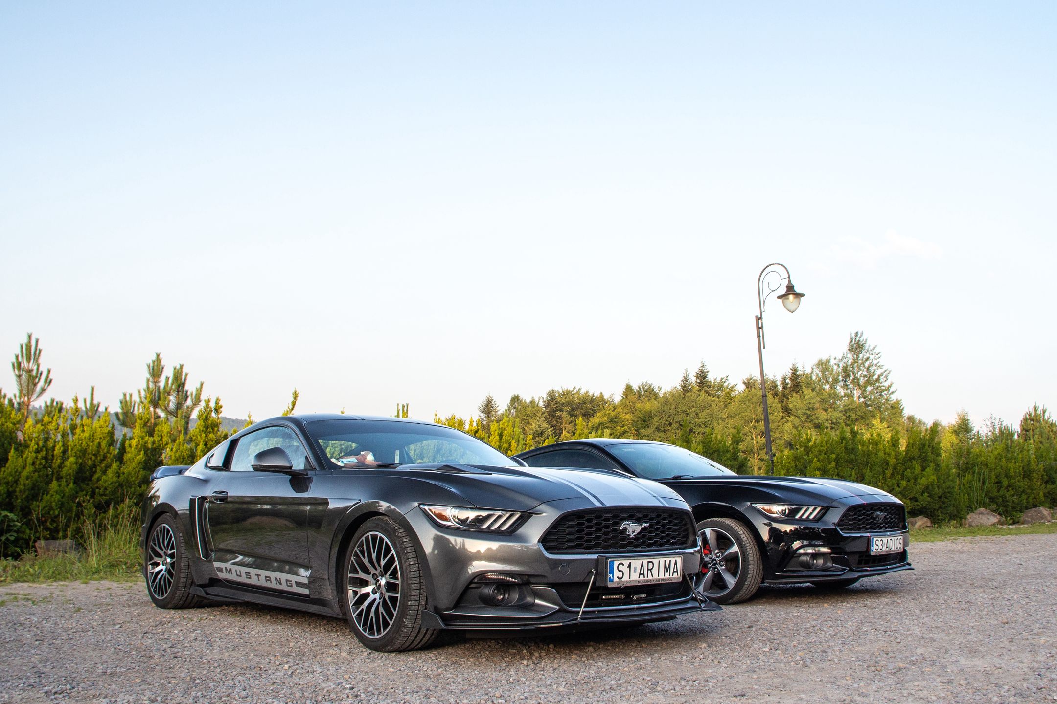 Małopolski & Śląski Zlot Mustangów 2024