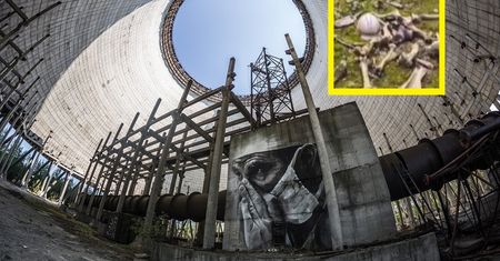 Przerażające odkrycie w Czarnobylu. Internauci mają ciarki na plecach