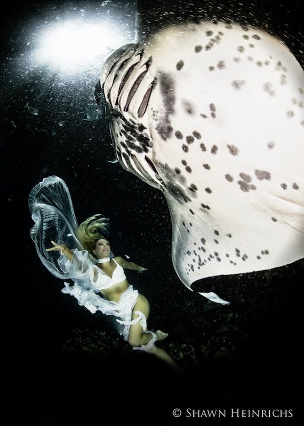 © Kristian Schmidt, Shawn Heinrichs